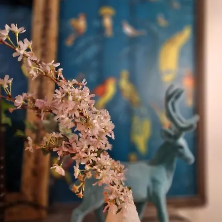 Iris La Fleuriste 아파트 탈렌체