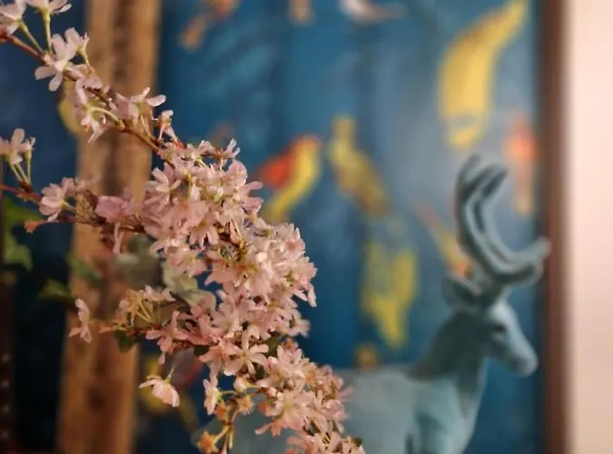 Iris La Fleuriste Lejlighed Talence